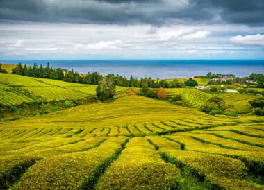 Séjour éco responsable aux Açores