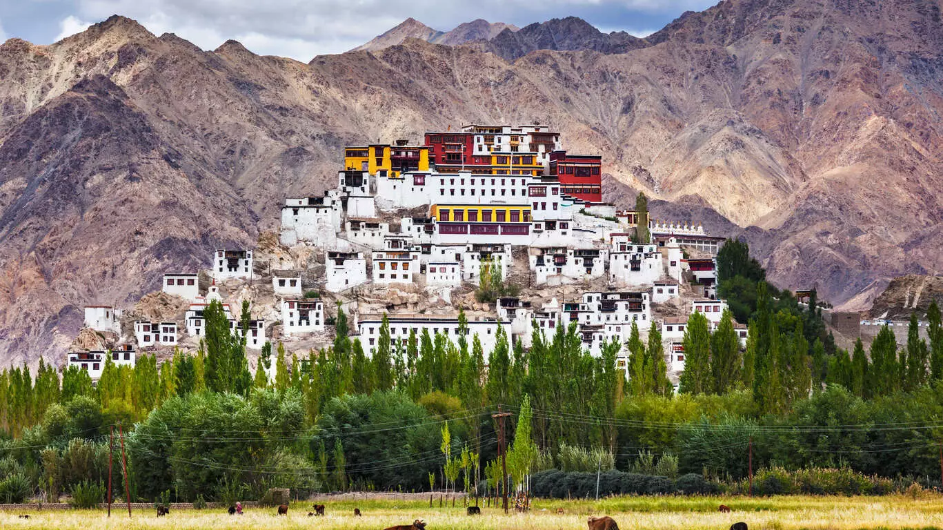 Immersion au Ladakh
