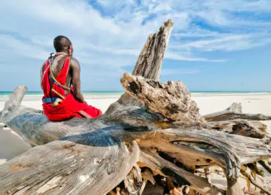 Circuit en petit groupe du Masai Mara à Diani Beach