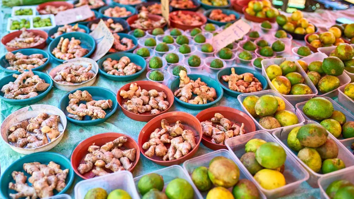 Rencontres et immersion à la Réunion