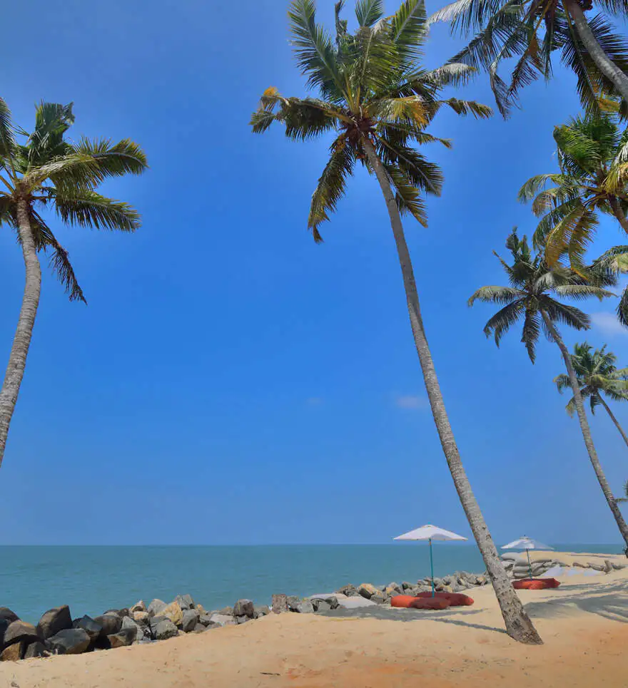 Pourquoi opter pour un circuit en Inde du Sud avec Cercle des Voyages ? 