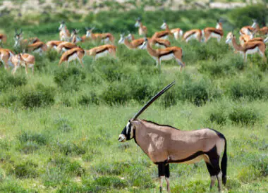 La Namibie loin des foules