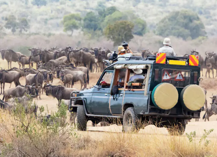 Safari au Kenya en petit groupe
