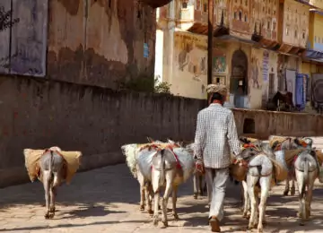 Immersion au Rajasthan
