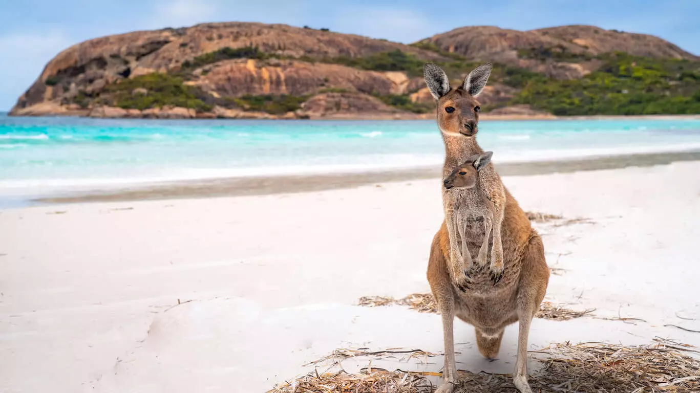 Retrouvailles en Australie, parents et jeunes WHV