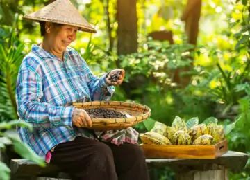 Incontournables de Bali : un voyage authentique