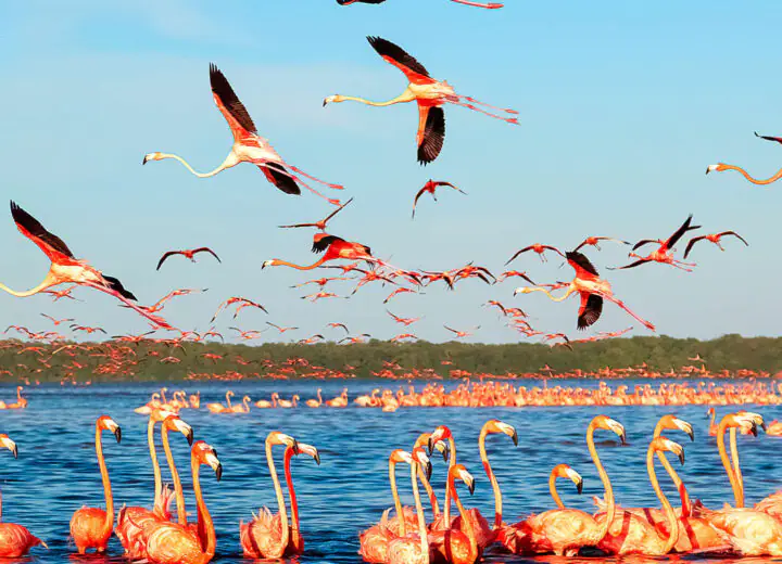 Autotour dans le Yucatan