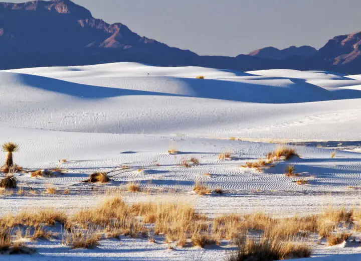 Balade Western du Texas au Nouveau Mexique