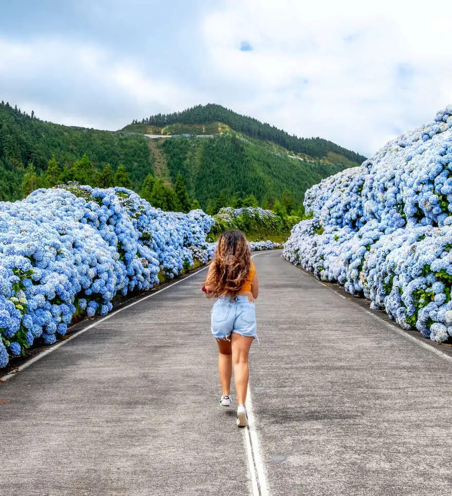 Pourquoi réserver un voyage aux Açores avec Cercle des Voyages ? 
