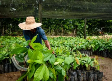 La Colombie responsable : Rencontres et Traditions