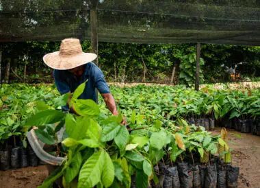 La Colombie responsable : Rencontres et Traditions