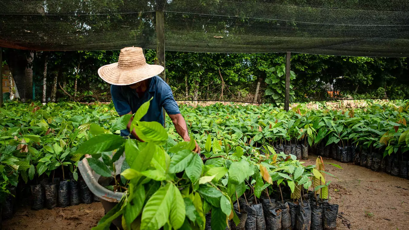 La Colombie responsable : Rencontres et Traditions