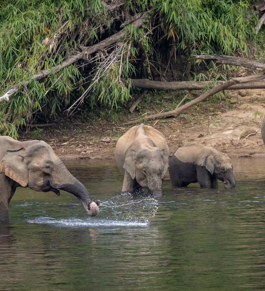 Quels sont les sites incontournables à visiter lors d'un circuit en l'Inde du Sud ? ?