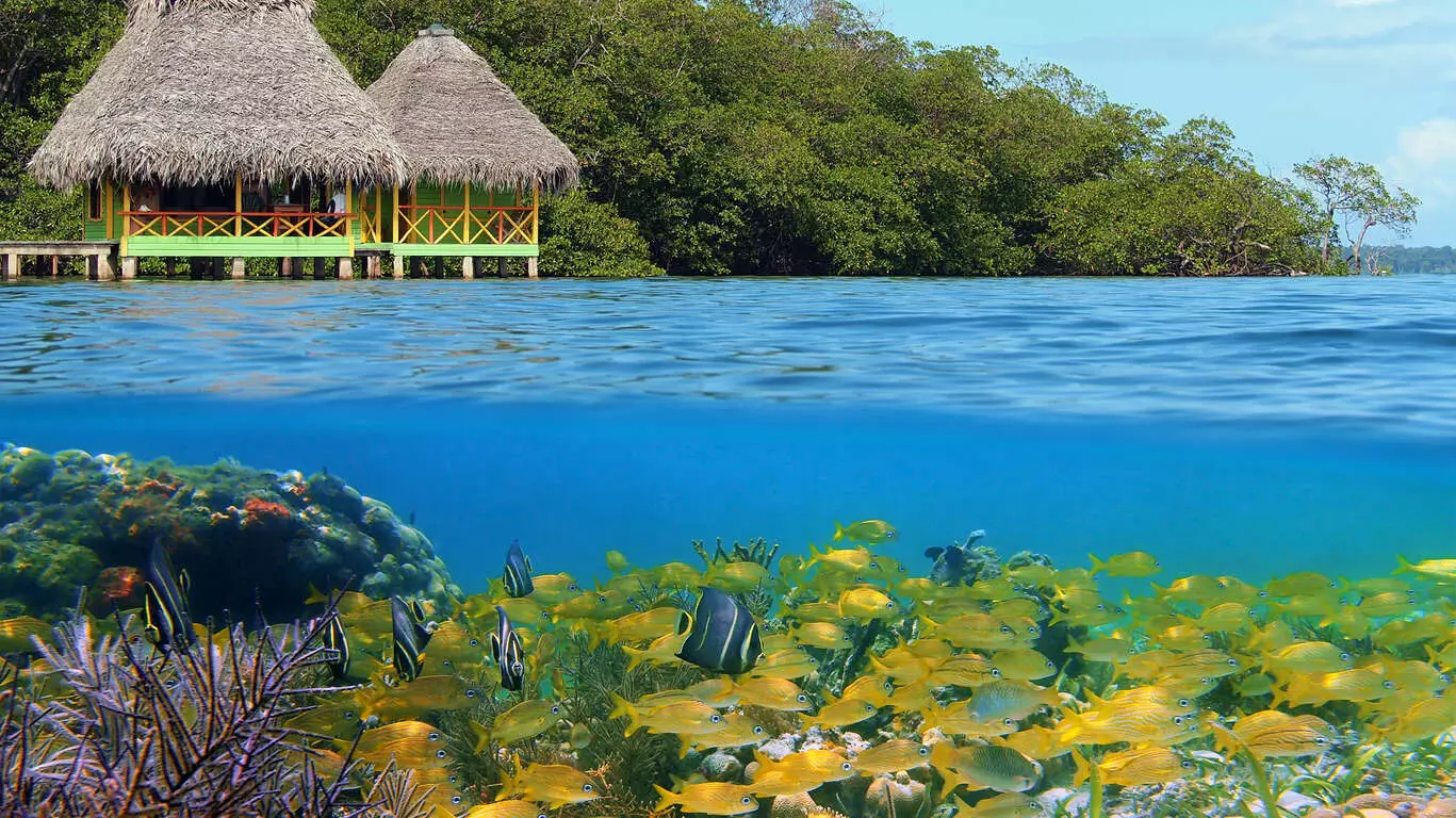 Panama côté Caraïbes et Costa Rica
