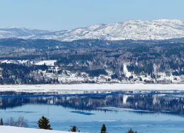 Motoneige et Traineau à Chiens au Saguenay DESACTIVE/REDIRIGE