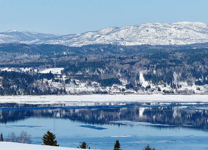 Motoneige et Traineau à Chiens au Saguenay
