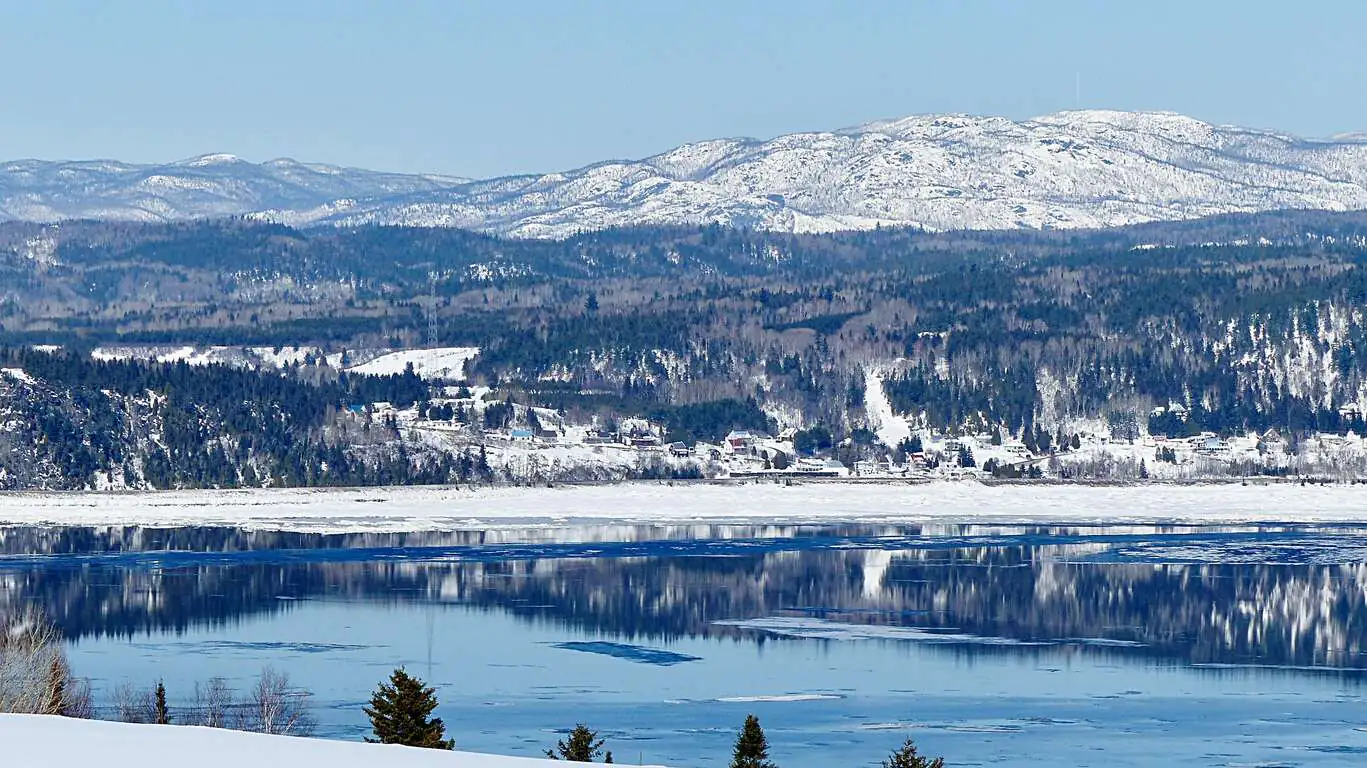 Motoneige et Traineau à Chiens au Saguenay DESACTIVE/REDIRIGE