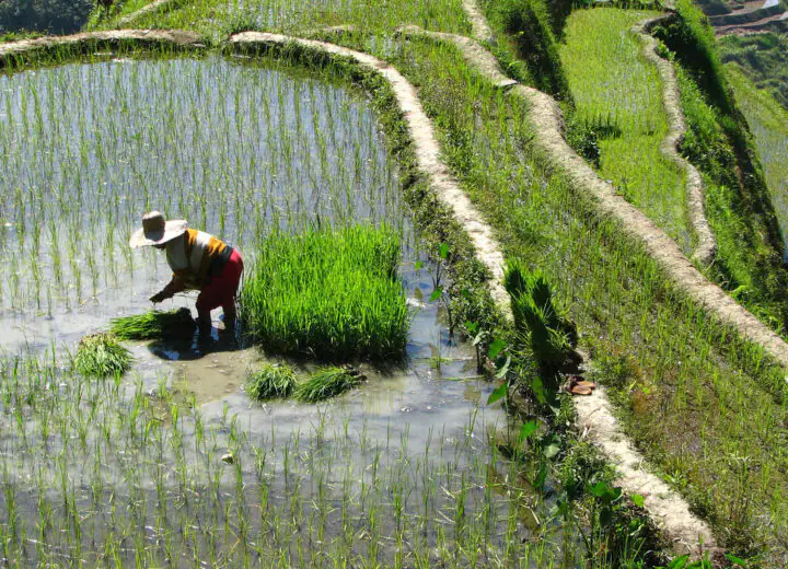 Escapades au Nord Luzon et farniente à Puerto Galera