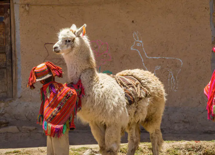 Le Pérou en petit groupe
