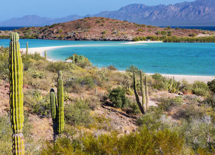 Autotour en Basse Californie