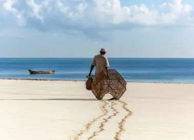 Eco Safari au Kenya et plages de l’océan indien