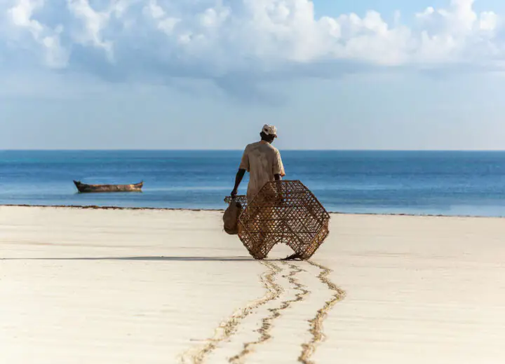 Eco Safari au Kenya et plages de l’océan indien