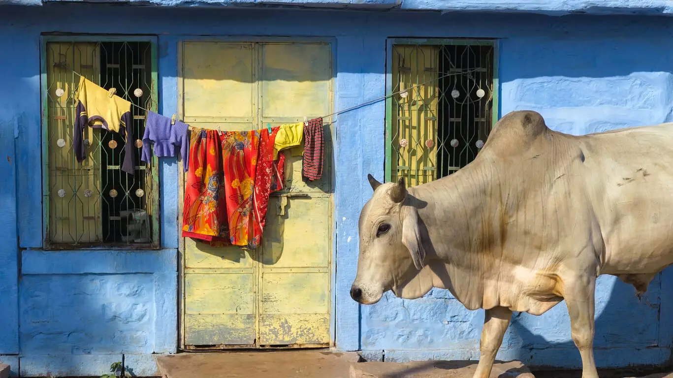 Couleurs du Rajasthan version charme