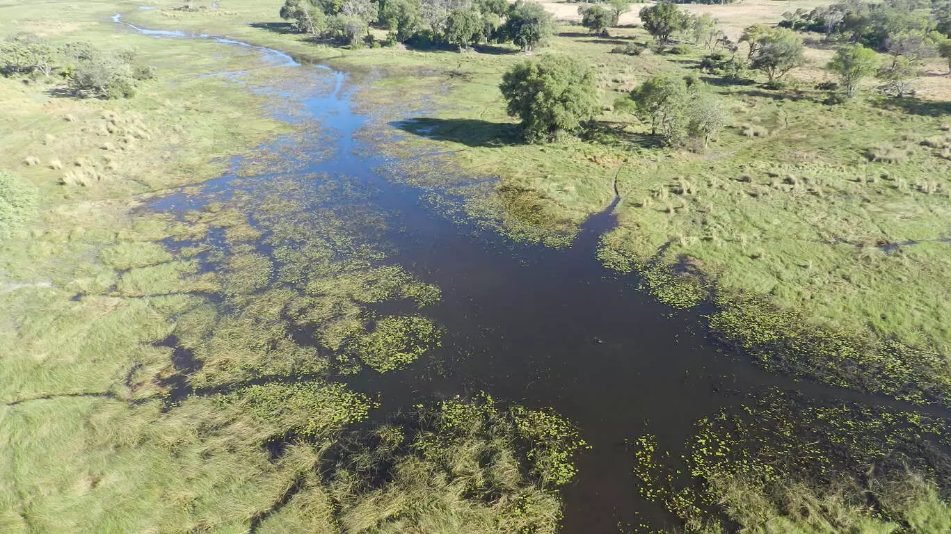 Safari camping au coeur de l’Okavango et Chutes Victoria
