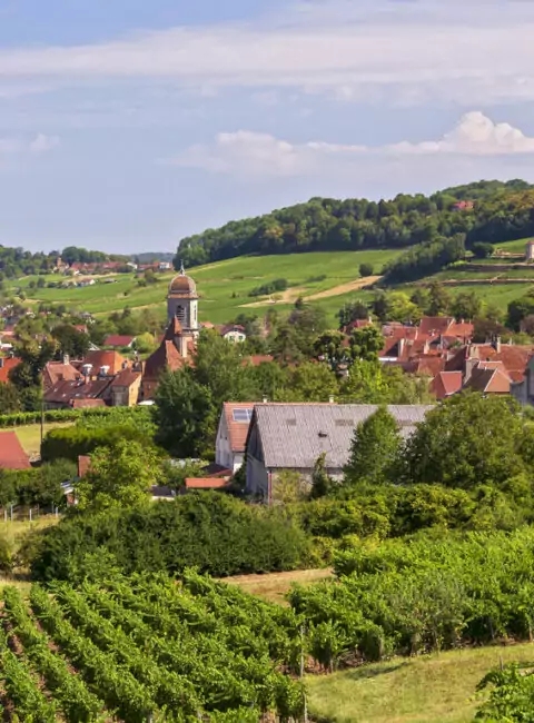 Bourgogne