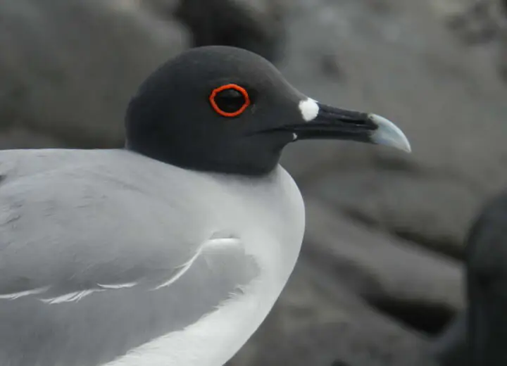 3 pays, 3 merveilles du monde