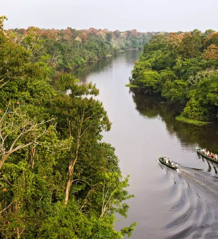 En Amazonie, découvrez la faune et la flore du Brésil