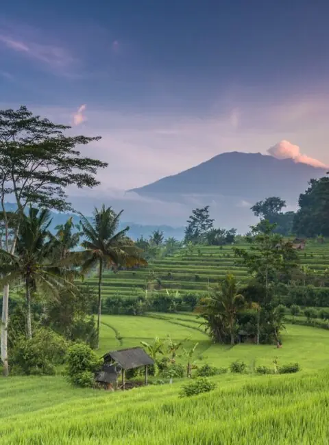 Bali