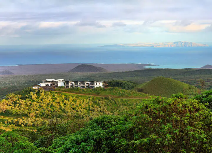 Le Pikaia Lodge : design eco-luxe aux Galapagos