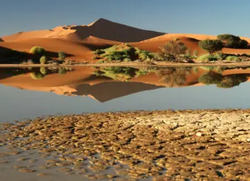 Incroyable Namibie : L’essentiel en petit groupe et véhicule 4×4