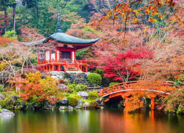Le Japon aux couleurs de l’automne