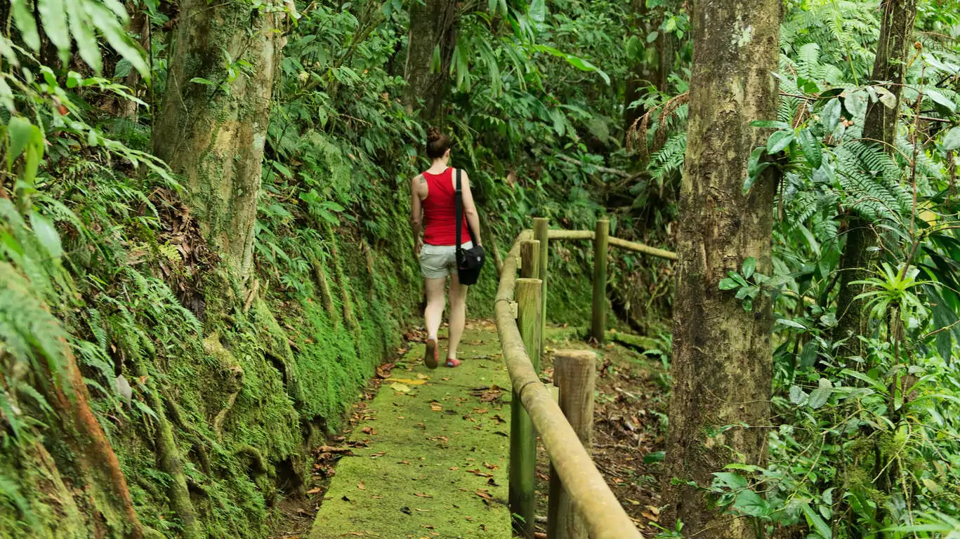 Séjour randonnée et sportif en Martinique