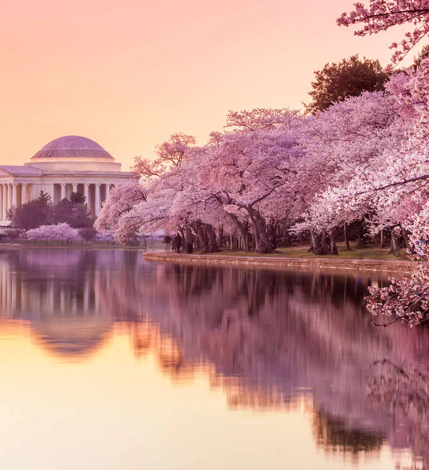 Meilleure période pour visiter Washington D.C.