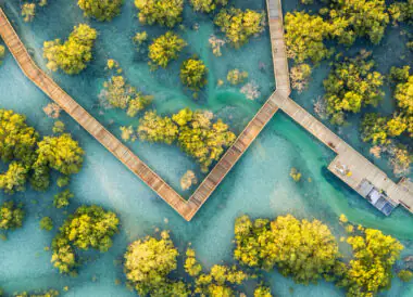 Les Emirats engagés pour l’environnement