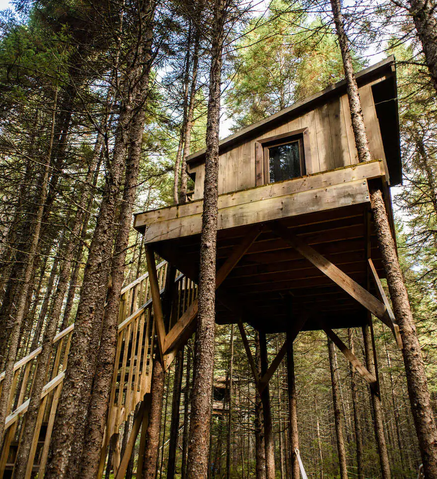 Un accompagnement expert pour un confort absolu