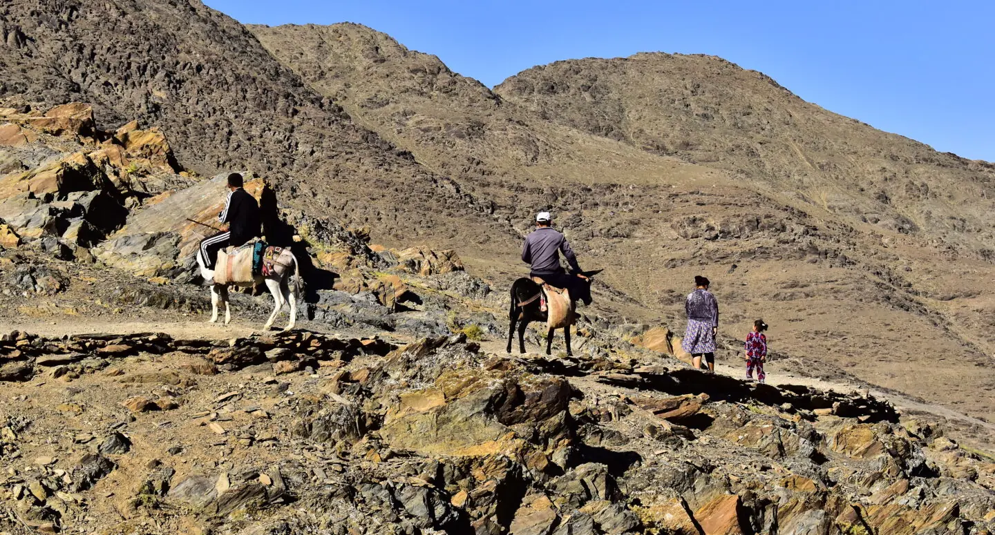 Héritage des cavaliers nomades sur la route de la soie