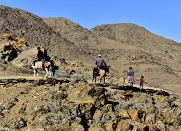 Héritage des cavaliers nomades sur la route de la soie