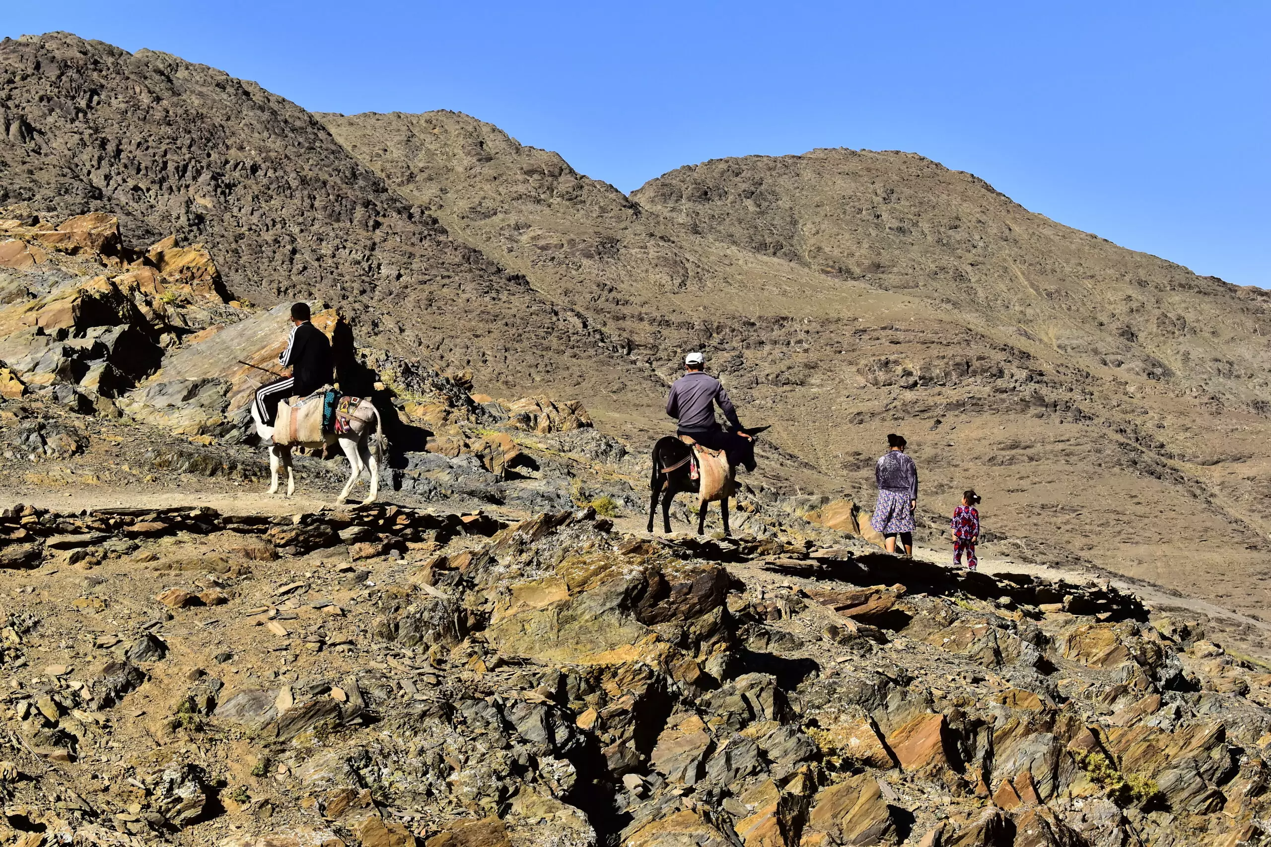 Héritage des cavaliers nomades sur la route de la soie