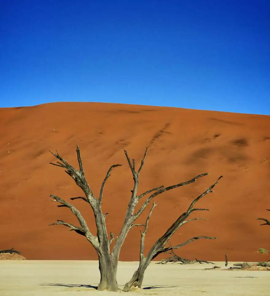 Des itinéraires originaux, loin des sentiers battus