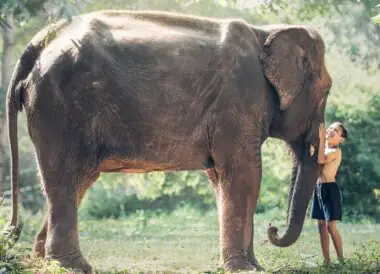 La Thaïlande avec votre petite tribu