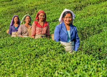 Voyage de l’Orissa à Darjeeling