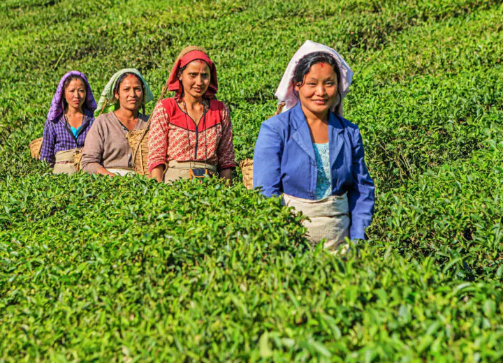 Voyage de l’Orissa à Darjeeling