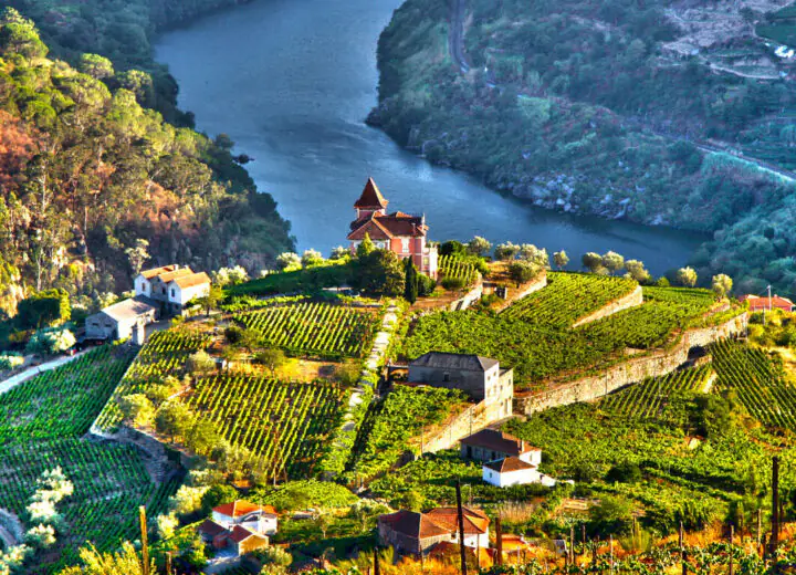 La route des vins et la Vallée du Douro