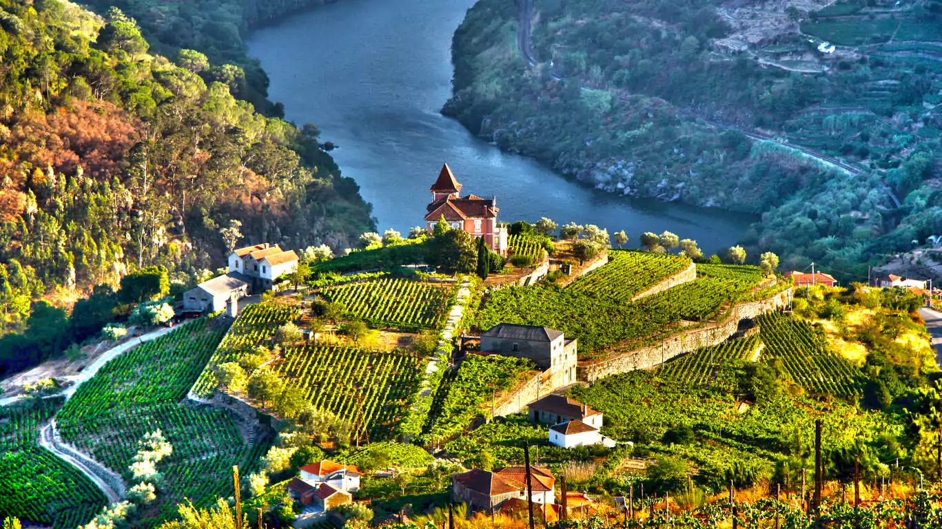 La route des vins et la Vallée du Douro