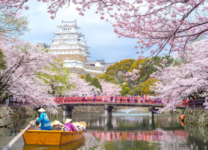 Japon au printemps : au pays des cerisiers