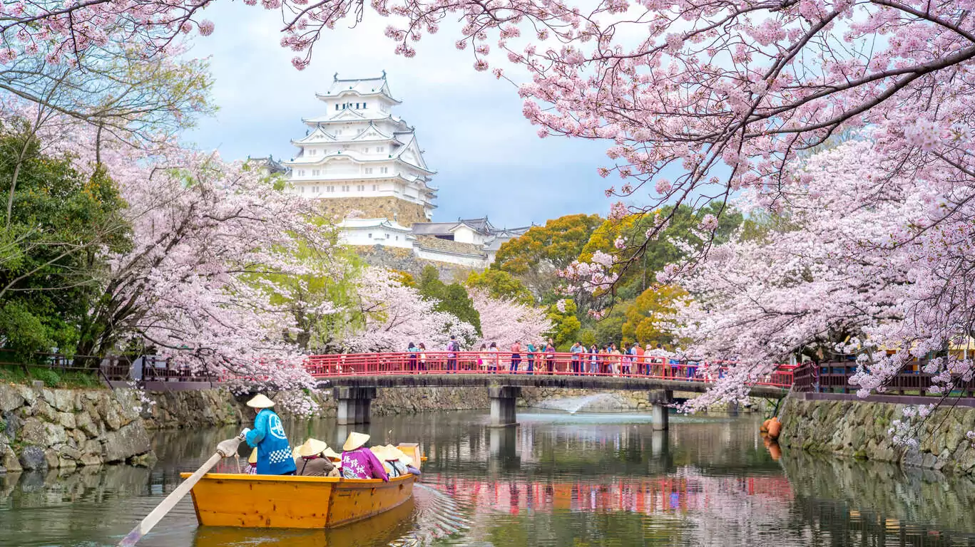 Japon en avril : au pays des cerisiers